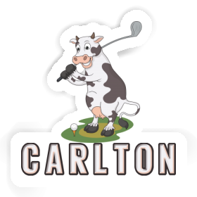 Golf Cow Sticker Carlton Image