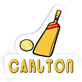 Carlton Sticker Cricket Bat Image