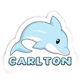 Carlton Sticker Dolphin Image