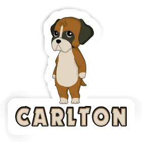 Autocollant Carlton German Boxer Image