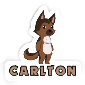 Carlton Autocollant Berger allemand Image