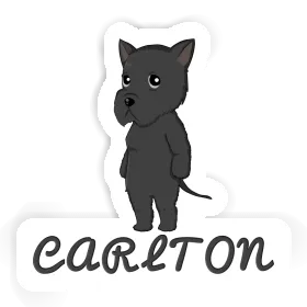 Carlton Autocollant Schnauzer géant Image