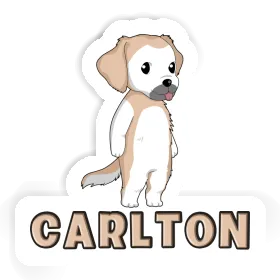 Autocollant Carlton Golden Retriever Image