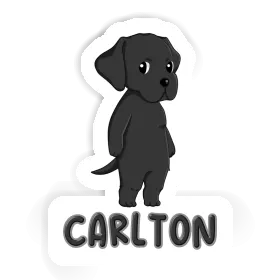 Carlton Autocollant Labrador Retriever Image