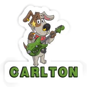 Carlton Sticker Guitarist Image