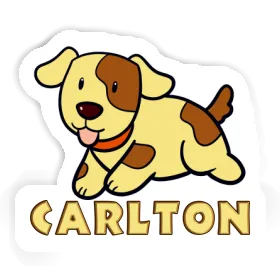 Autocollant Chien Carlton Image