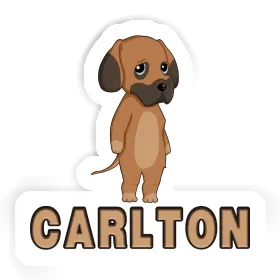 Autocollant Dogue allemand Carlton Image