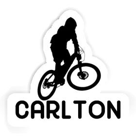 Carlton Sticker Downhiller Image