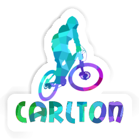 Downhiller Sticker Carlton Image