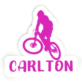 Downhiller Sticker Carlton Image