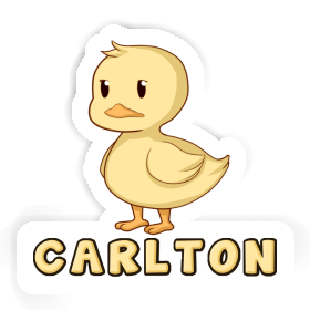 Sticker Duck Carlton Image