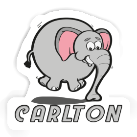 Sticker Elephant Carlton Image