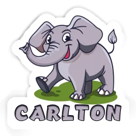 Elephant Sticker Carlton Image