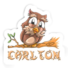 Owl Sticker Carlton Image