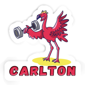 Sticker Carlton Weight Lifter Image