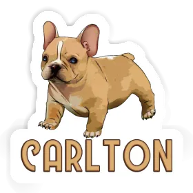 Sticker Carlton Frenchie Image