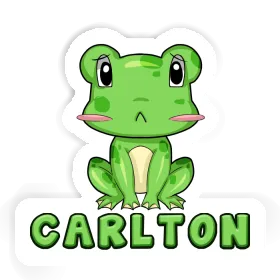 Aufkleber Carlton Frosch Image