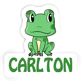 Frog Sticker Carlton Image