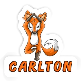 Sticker Yoga Fox Carlton Image