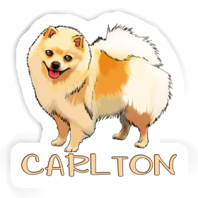 Sticker Carlton German Spitz Image