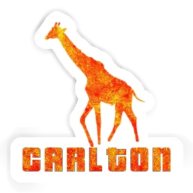 Sticker Giraffe Carlton Image