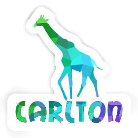 Sticker Carlton Giraffe Image