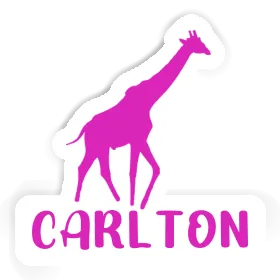 Sticker Carlton Giraffe Image