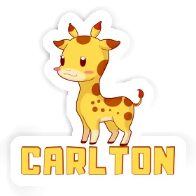 Carlton Sticker Giraffe Image