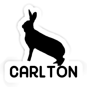 Carlton Sticker Rabbit Image