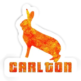 Sticker Rabbit Carlton Image