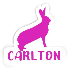 Sticker Rabbit Carlton Image