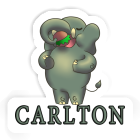 Elephant Sticker Carlton Image