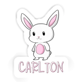 Carlton Sticker Hare Image