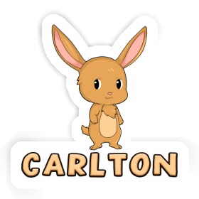 Sticker Carlton Rabbit Image