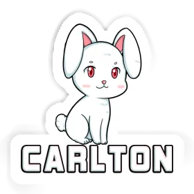 Carlton Sticker Rabbit Image