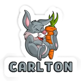 Rabbits Sticker Carlton Image