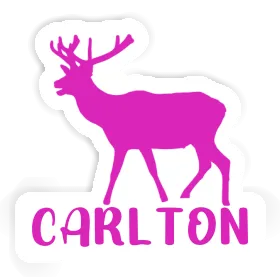 Sticker Hirsch Carlton Image