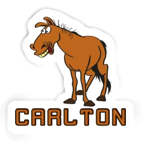 Horse Sticker Carlton Image