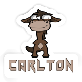 Sticker Horse Carlton Image