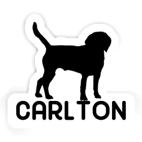 Autocollant Chien Carlton Image