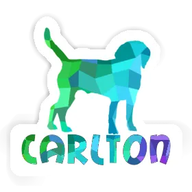 Chien Autocollant Carlton Image