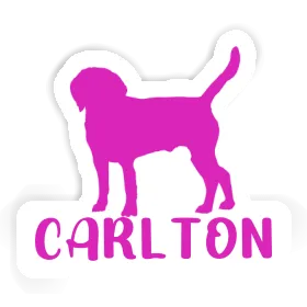 Chien Autocollant Carlton Image