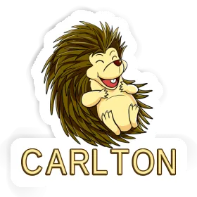 Carlton Sticker Hedgehog Image