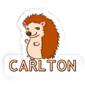 Hedgehog Sticker Carlton Image