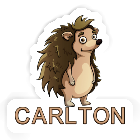 Sticker Carlton Hedgehog Image