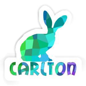 Rabbit Sticker Carlton Image