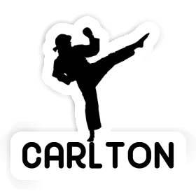 Carlton Sticker Karateka Image