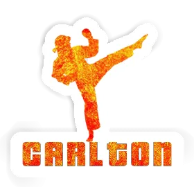 Carlton Sticker Karateka Image