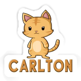 Catkin Sticker Carlton Image