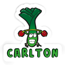 Sticker Weightlifter Carlton Image